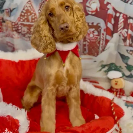 בית אירוח Cosy Centre Guest Shared *