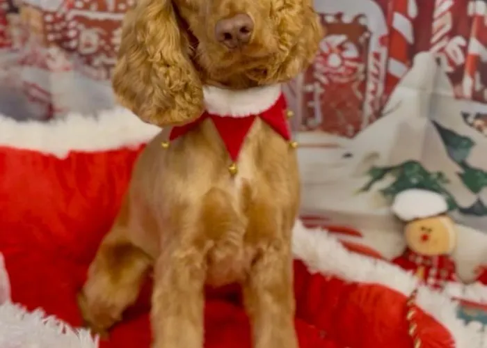 Kwatera prywatna Cosy Centre Guest Shared *