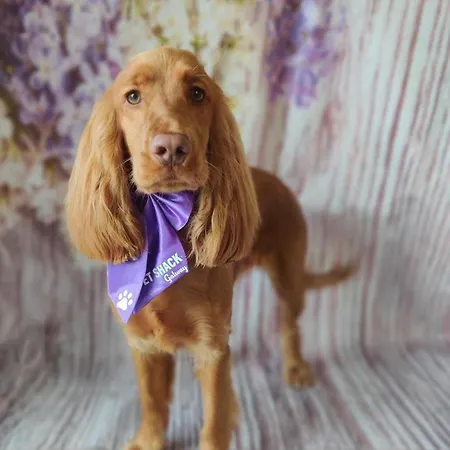 Cosy Centre Guest Shared *